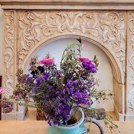 Purple Dog Апарт-отель 4*