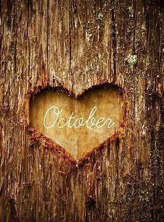 Purple Dog Апарт-отель 4*