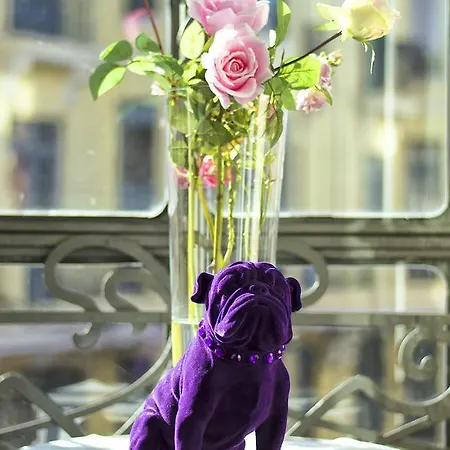 Ξενοδοχείο με διαμερίσματα Purple Dog 4*