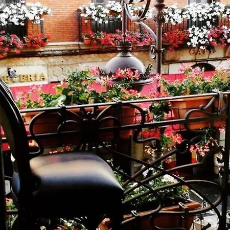 Апарт-отель Purple Dog