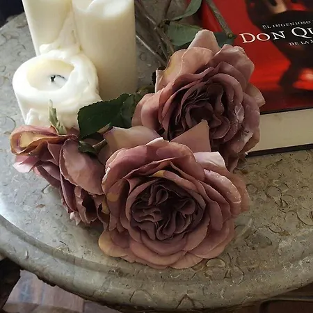 Purple Dog Апарт-отель Леон