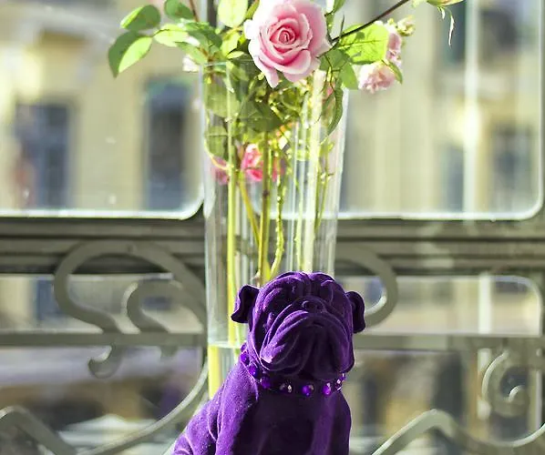 Aparthotel Purple Dog 4*