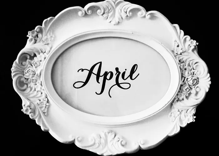 Aparthotel Purple Dog 4*